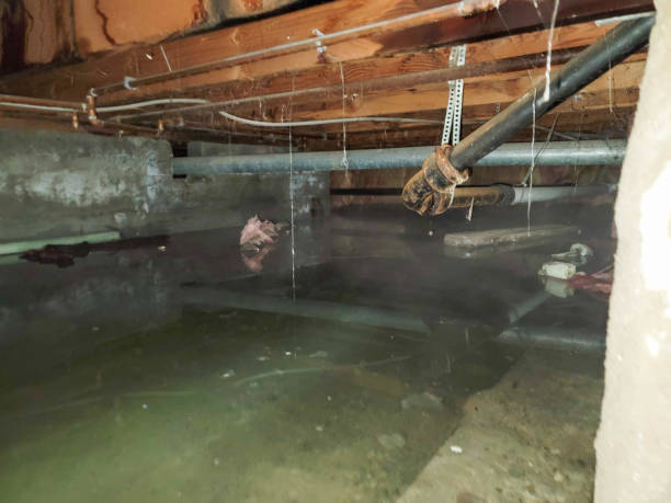 Best 24-hour water damage restoration  in Shelter Island Heights, NY
