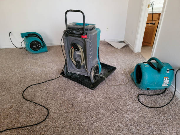 Best Flood damage cleanup  in Shelter Island Heights, NY