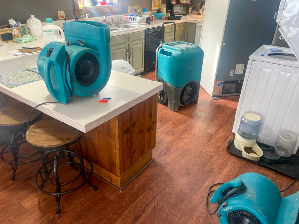 Best Water damage restoration near me  in Shelter Island Heights, NY