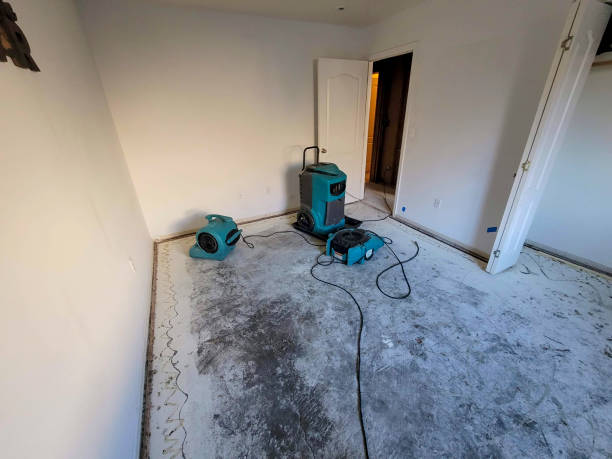 Best Sewage cleanup and water damage restoration  in Shelter Island Heights, NY
