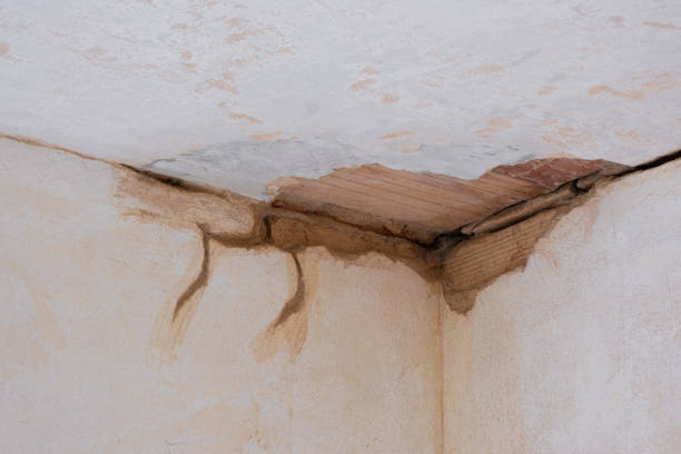 Best Water damage restoration near me  in Shelter Island Heights, NY