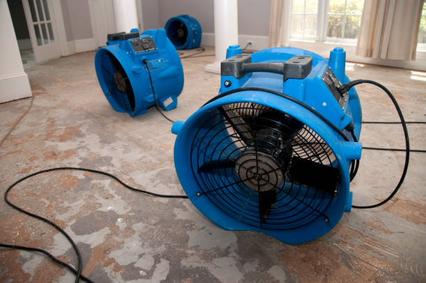 Best Mold removal after water damage  in Shelter Island Heights, NY