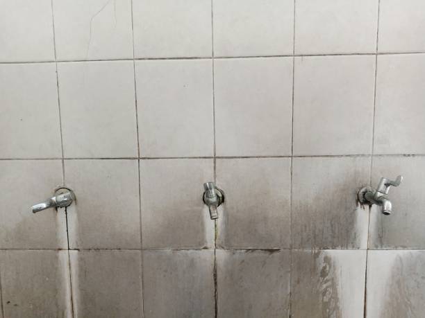 Best Water damage restoration near me  in Shelter Island Heights, NY