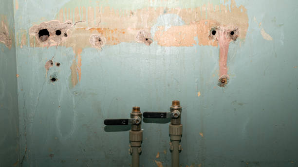 Best Ceiling water damage repair  in Shelter Island Heights, NY
